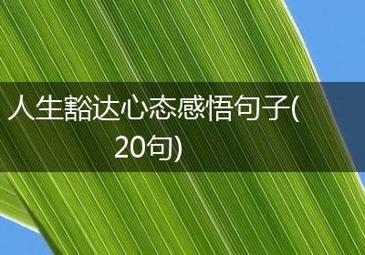 人生豁达心态感悟句子(20句)