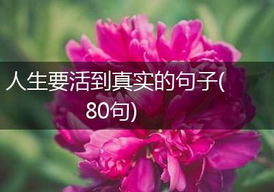 人生要活到真实的句子(80句)