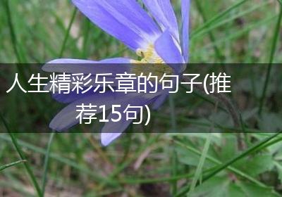 人生精彩乐章的句子(推荐15句)