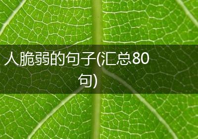 人脆弱的句子(汇总80句)