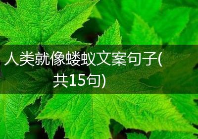 人类就像蝼蚁文案句子(共15句)
