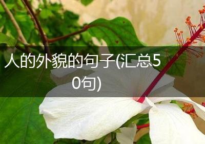 人的外貌的句子(汇总50句)