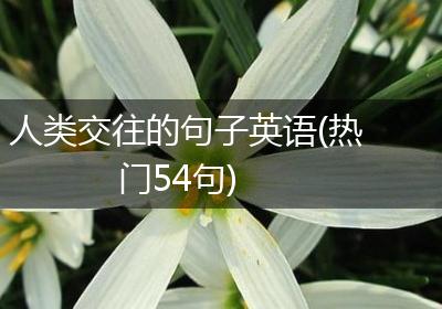 人类交往的句子英语(热门54句)