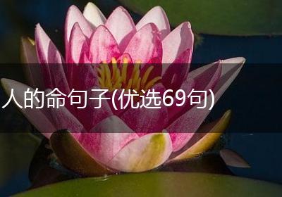 人的命句子(优选69句)