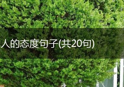 人的态度句子(共20句)