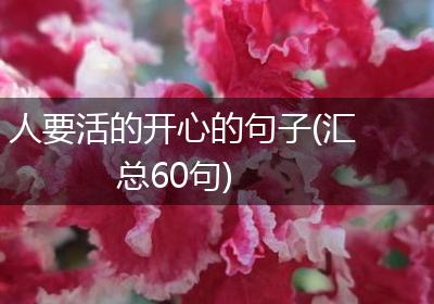 人要活的开心的句子(汇总60句)