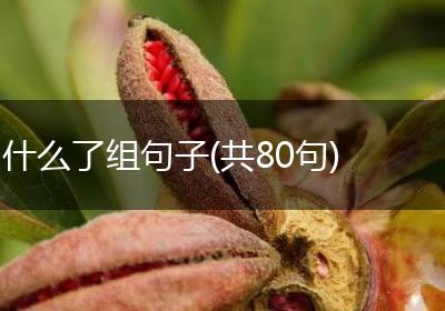 什么了组句子(共80句)