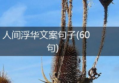 人间浮华文案句子(60句)