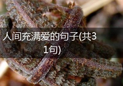 人间充满爱的句子(共31句)