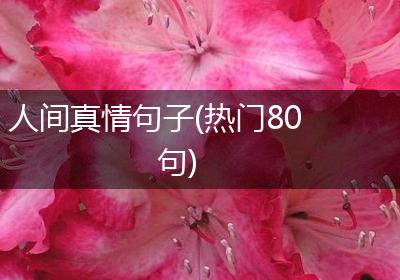 人间真情句子(热门80句)