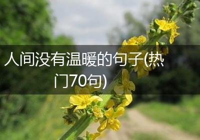 人间没有温暖的句子(热门70句)