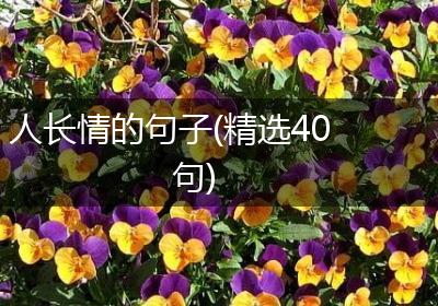 人长情的句子(精选40句)