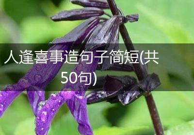人逢喜事造句子简短(共50句)