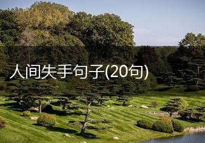 人间失手句子(20句)