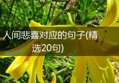 人间悲喜对应的句子(精选20句)
