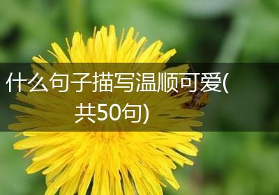 什么句子描写温顺可爱(共50句)
