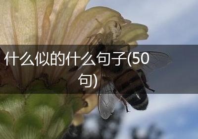 什么似的什么句子(50句)