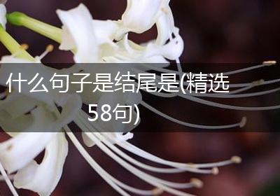 什么句子是结尾是(精选58句)