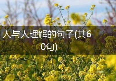 人与人理解的句子(共60句)