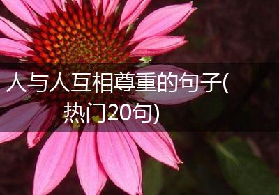 人与人互相尊重的句子(热门20句)