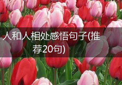 人和人相处感悟句子(推荐20句)