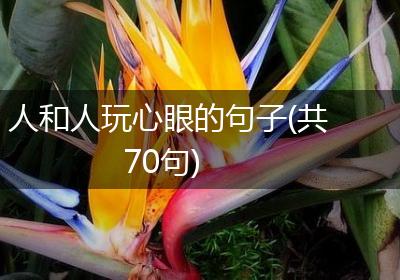 人和人玩心眼的句子(共70句)