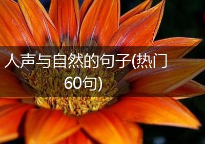 人声与自然的句子(热门60句)