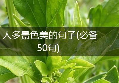 人多景色美的句子(必备50句)