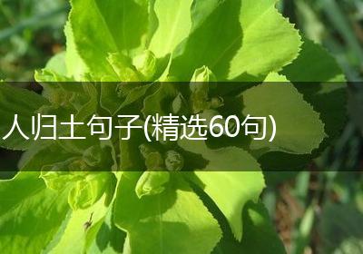 人归土句子(精选60句)