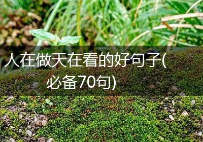 人在做天在看的好句子(必备70句)