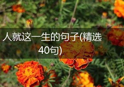 人就这一生的句子(精选40句)