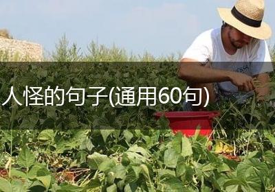 人怪的句子(通用60句)