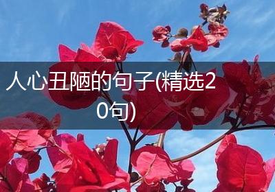 人心丑陋的句子(精选20句)