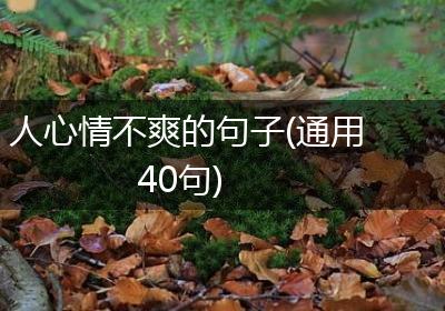 人心情不爽的句子(通用40句)