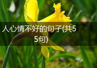 人心情不好的句子(共55句)
