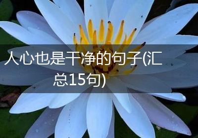 人心也是干净的句子(汇总15句)