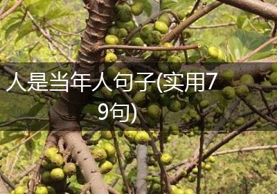 人是当年人句子(实用79句)