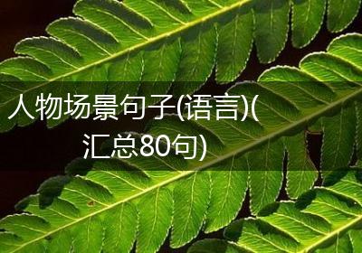 人物场景句子(语言)(汇总80句)
