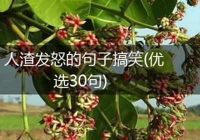 人渣发怒的句子搞笑(优选30句)