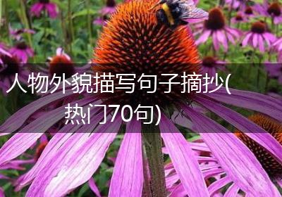 人物外貌描写句子摘抄(热门70句)