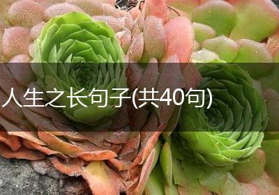 人生之长句子(共40句)