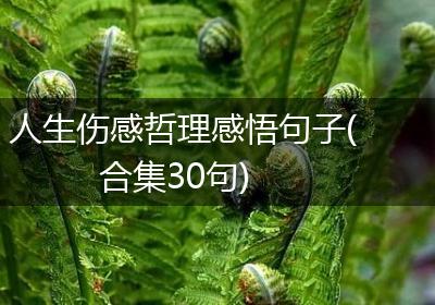 人生伤感哲理感悟句子(合集30句)