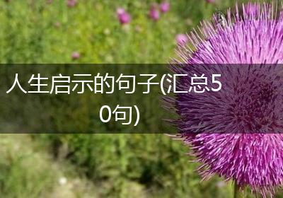 人生启示的句子(汇总50句)
