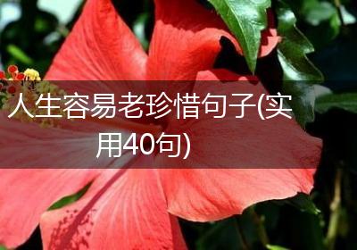 人生容易老珍惜句子(实用40句)
