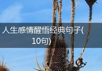 人生感情醒悟经典句子(10句)