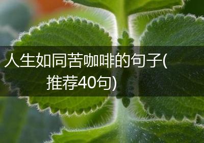 人生如同苦咖啡的句子(推荐40句)