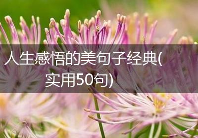 人生感悟的美句子经典(实用50句)