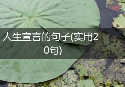 人生宣言的句子(实用20句)