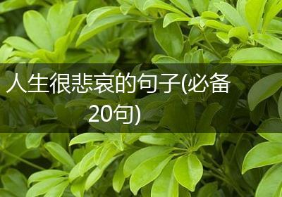 人生很悲哀的句子(必备20句)
