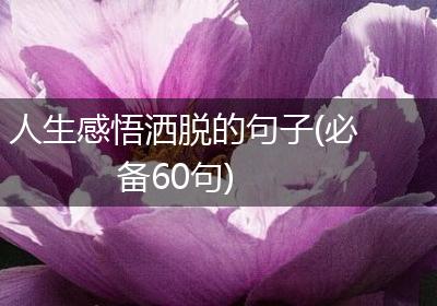 人生感悟洒脱的句子(必备60句)